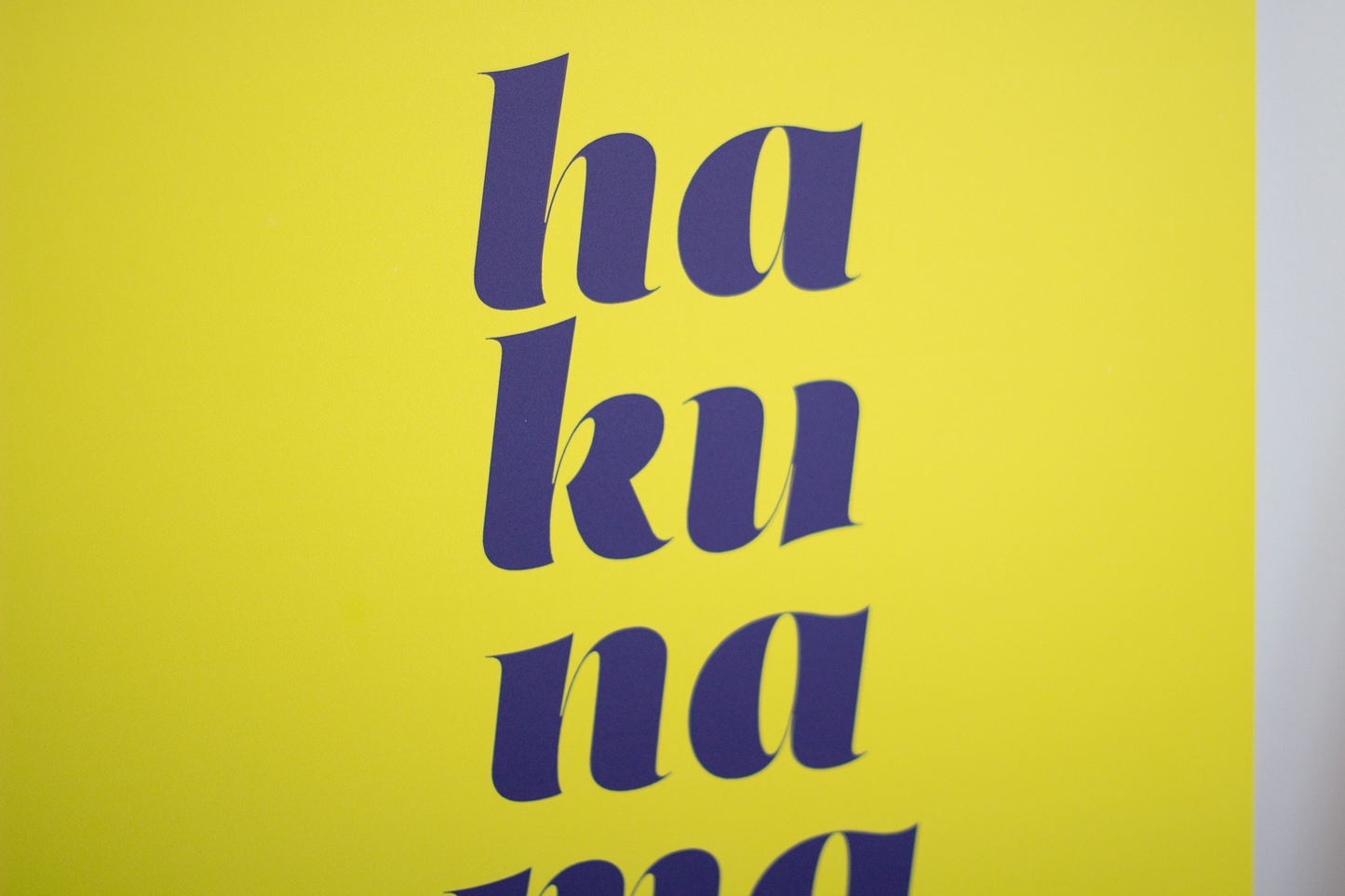 Hakuna Matata paneel